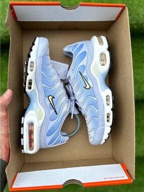 Women's Nike Air Max Plus Daybreak Shoes Size 7